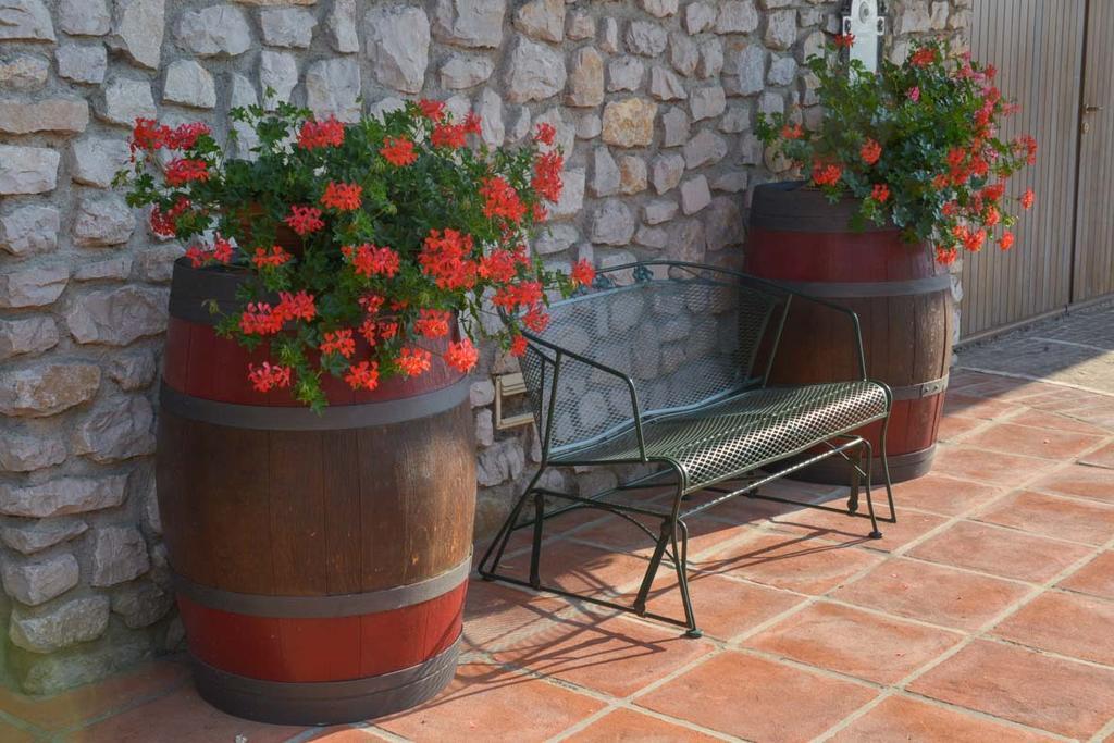 Agriturismo Kogoj Medea Zewnętrze zdjęcie